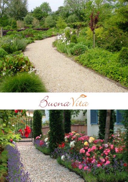 Buona-Vita